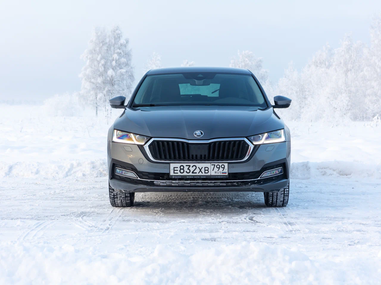 octavia A8 6
