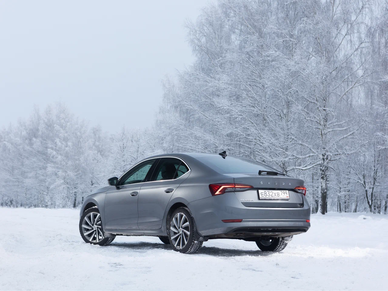 octavia A8